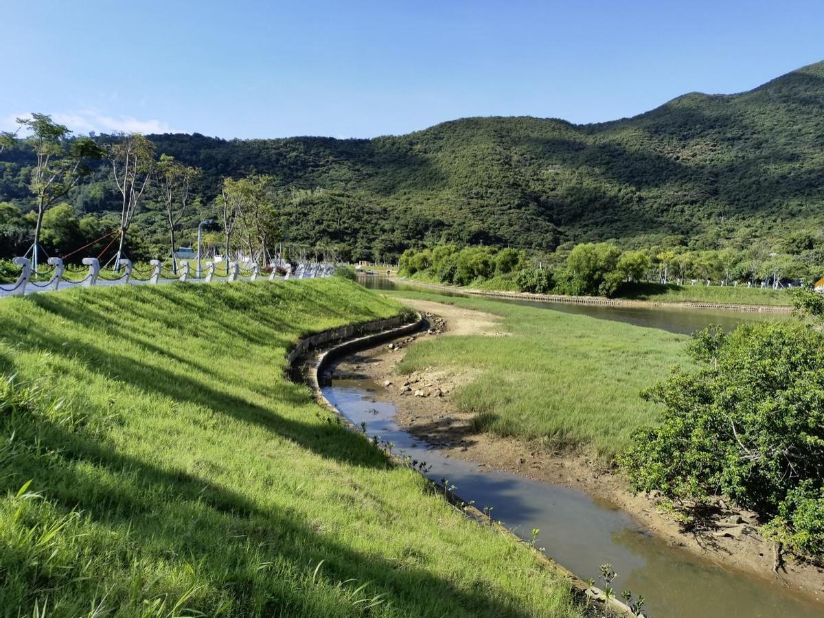 1668156444352018501.jpg 7.jpg