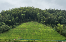 1677461238423079136.png 2.14金寨新聞稿431.png