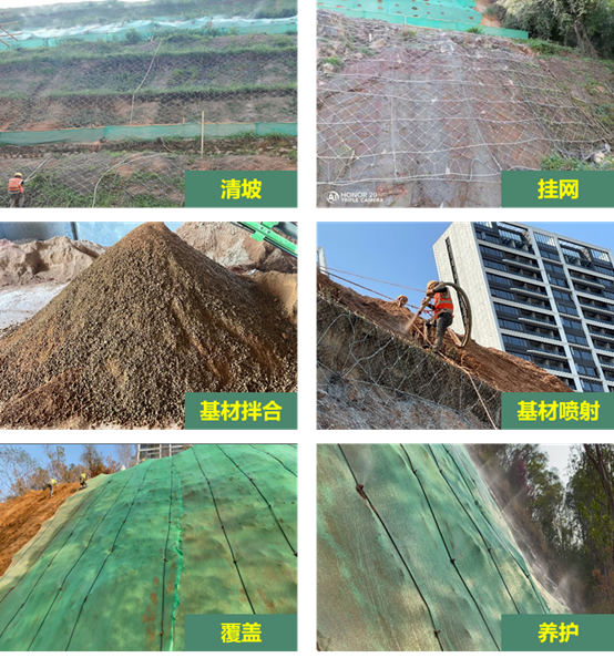 1697426150010026911.png 圖片3.png